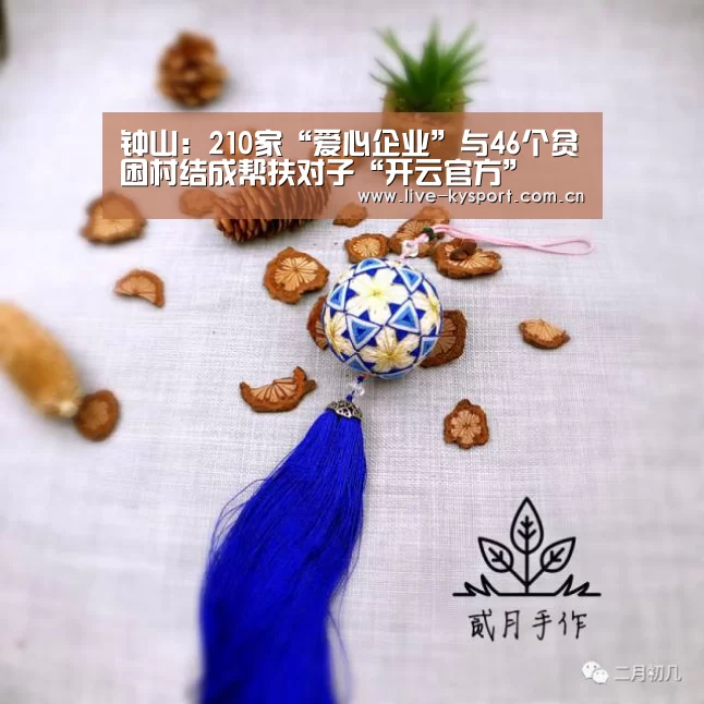 钟山：210家“爱心企业”与46个贫困村结成帮扶对子“开云官方”
