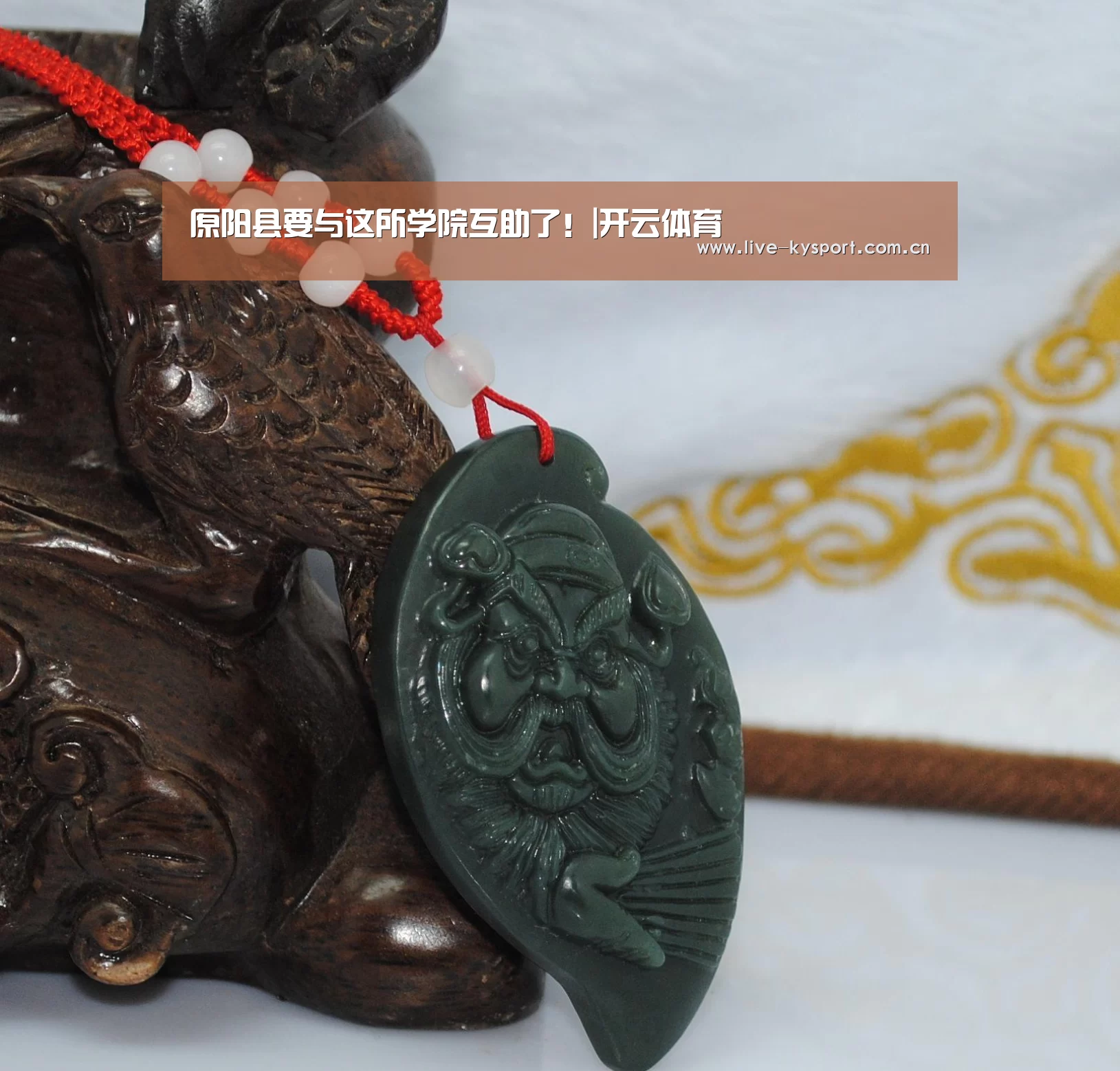 原阳县要与这所学院互助了!|开云体育(图4) 开云官方