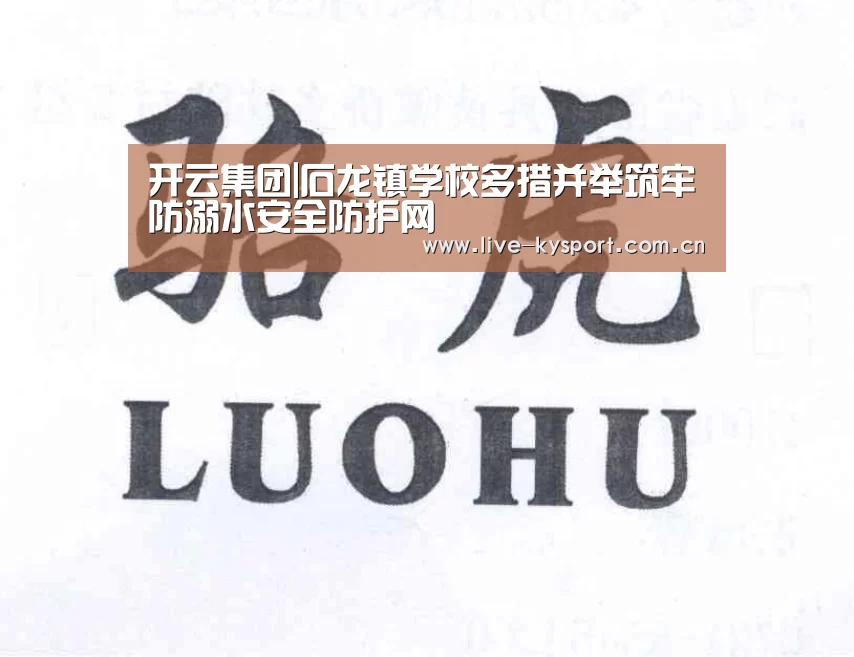 开云集团|石龙镇学校多措并举筑牢防溺水安全防护网(图4) 开云体育
