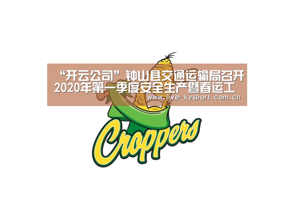 “开云公司”钟山县交通运输局召开2020年第一季度安全生产暨春运工作会议(图4) 开云官方