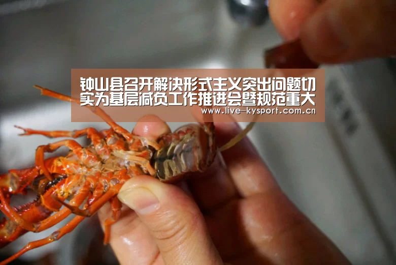 钟山县召开解决形式主义突出问题切实为基层减负工作推进会暨规范重大紧急信息报送工作布置会:开云团队(图3) 开云公司